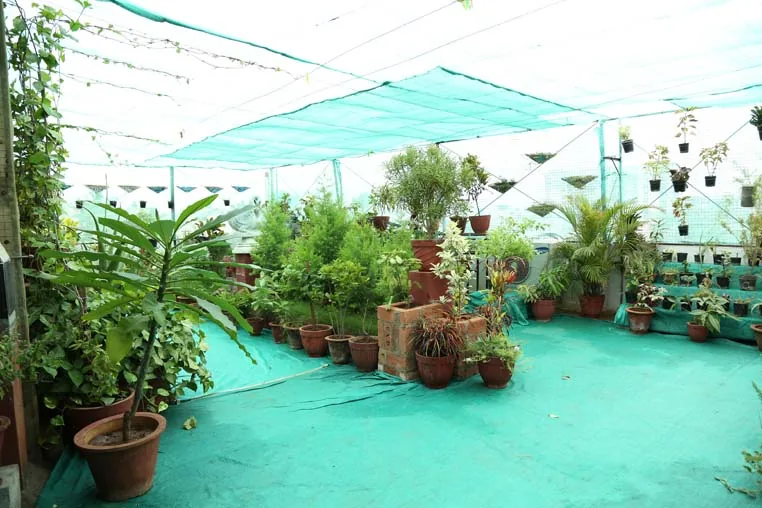 Rooftop garden at Kripa Revival Centre